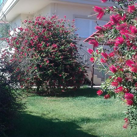 Anna'S Villas By The Sea Preveza Bagian luar foto
