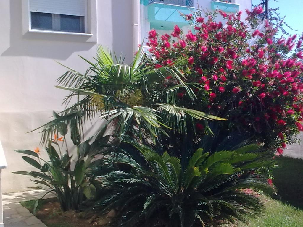 Anna'S Villas By The Sea Preveza Bagian luar foto