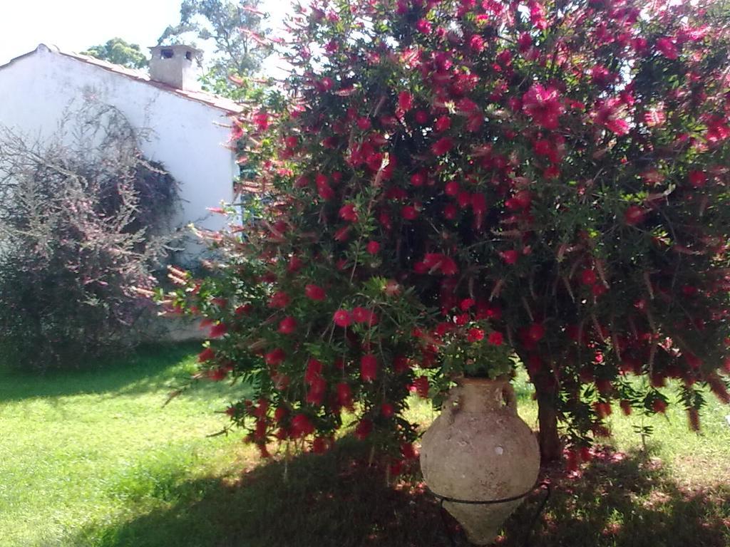 Anna'S Villas By The Sea Preveza Bagian luar foto