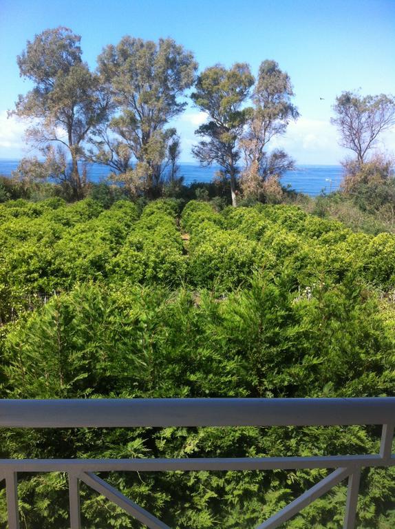Anna'S Villas By The Sea Preveza Bagian luar foto