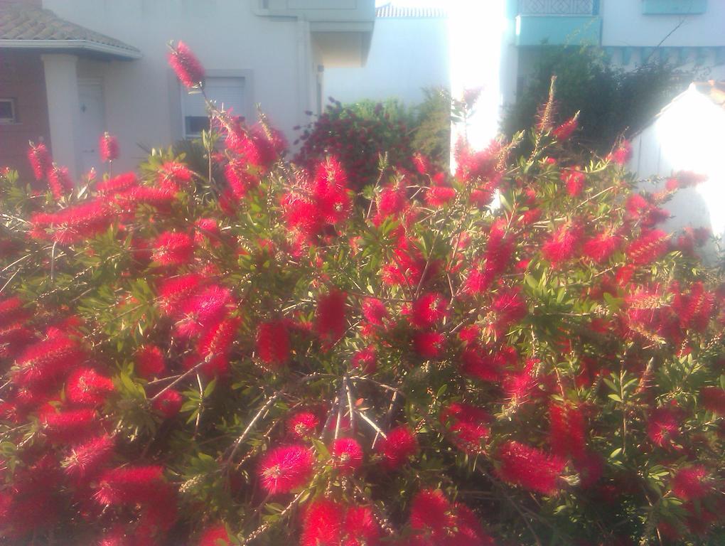 Anna'S Villas By The Sea Preveza Bagian luar foto