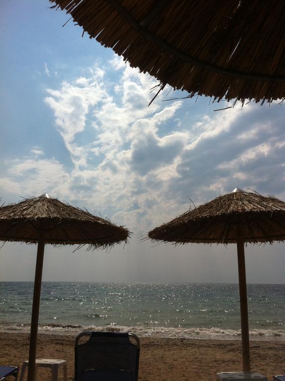 Anna'S Villas By The Sea Preveza Bagian luar foto