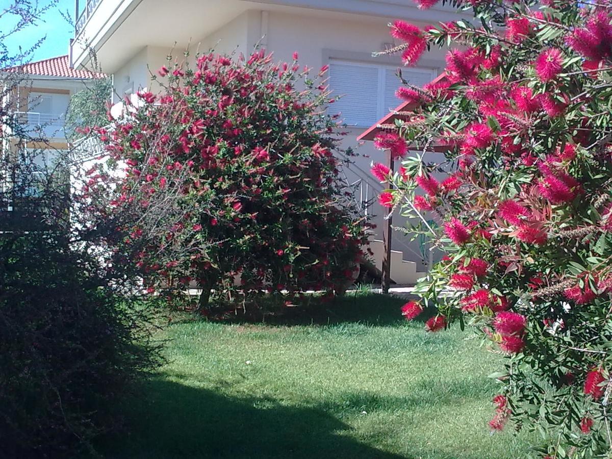 Anna'S Villas By The Sea Preveza Bagian luar foto